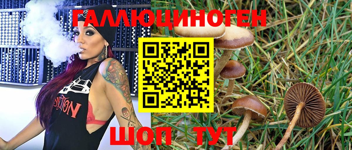 Псилоцибиновые грибы мухоморы Люберцы