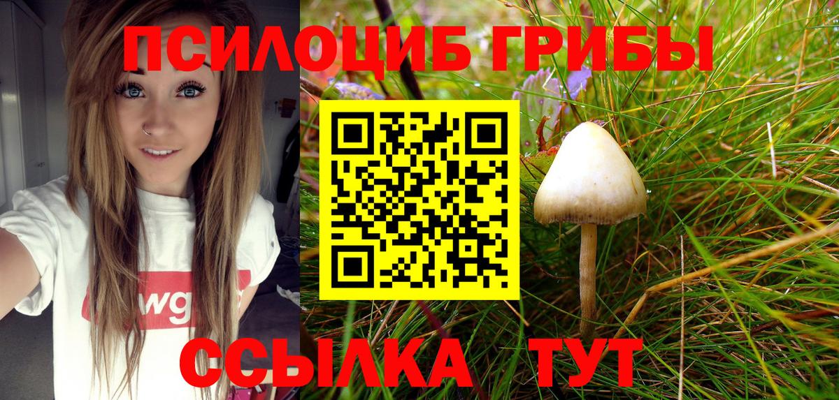 Люберцы  Галлюциногенные грибы Magic Shrooms  Вход с VPN 